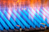 Backburn gas fired boilers